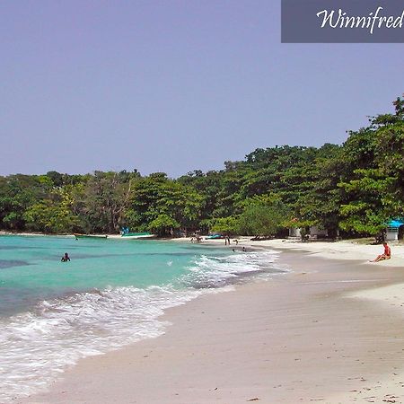 Moon San Villa At The Blue Lagoon Port Antonio Bagian luar foto