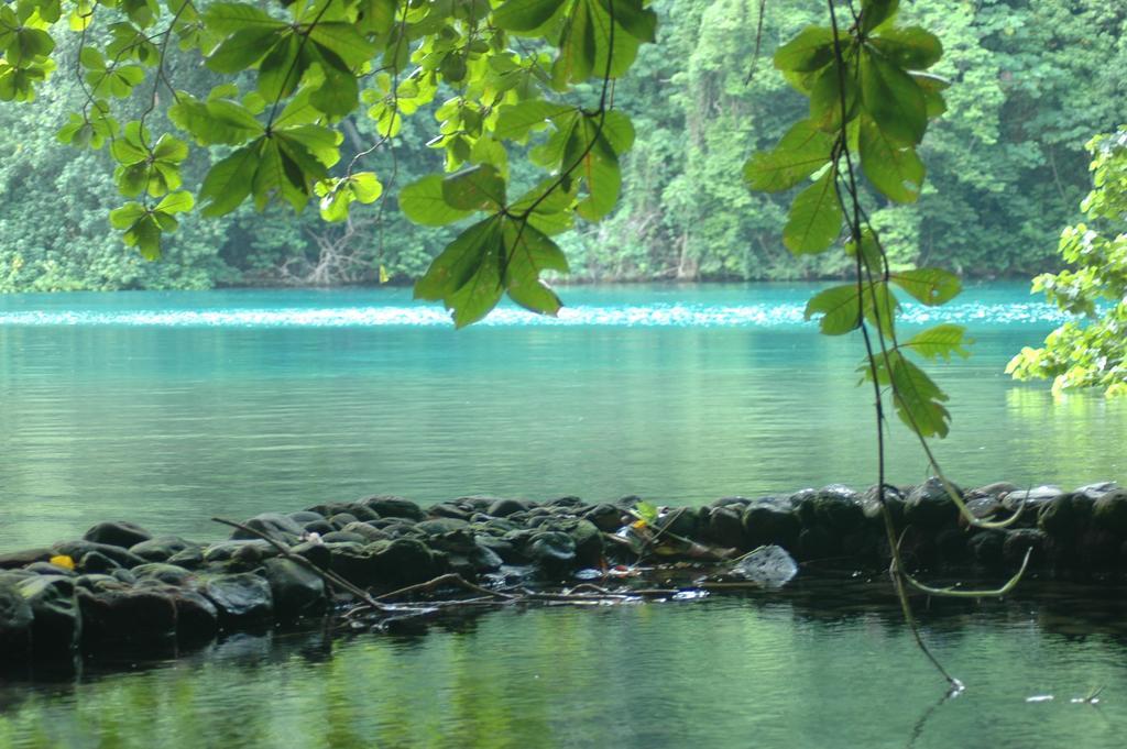 Moon San Villa At The Blue Lagoon Port Antonio Bagian luar foto