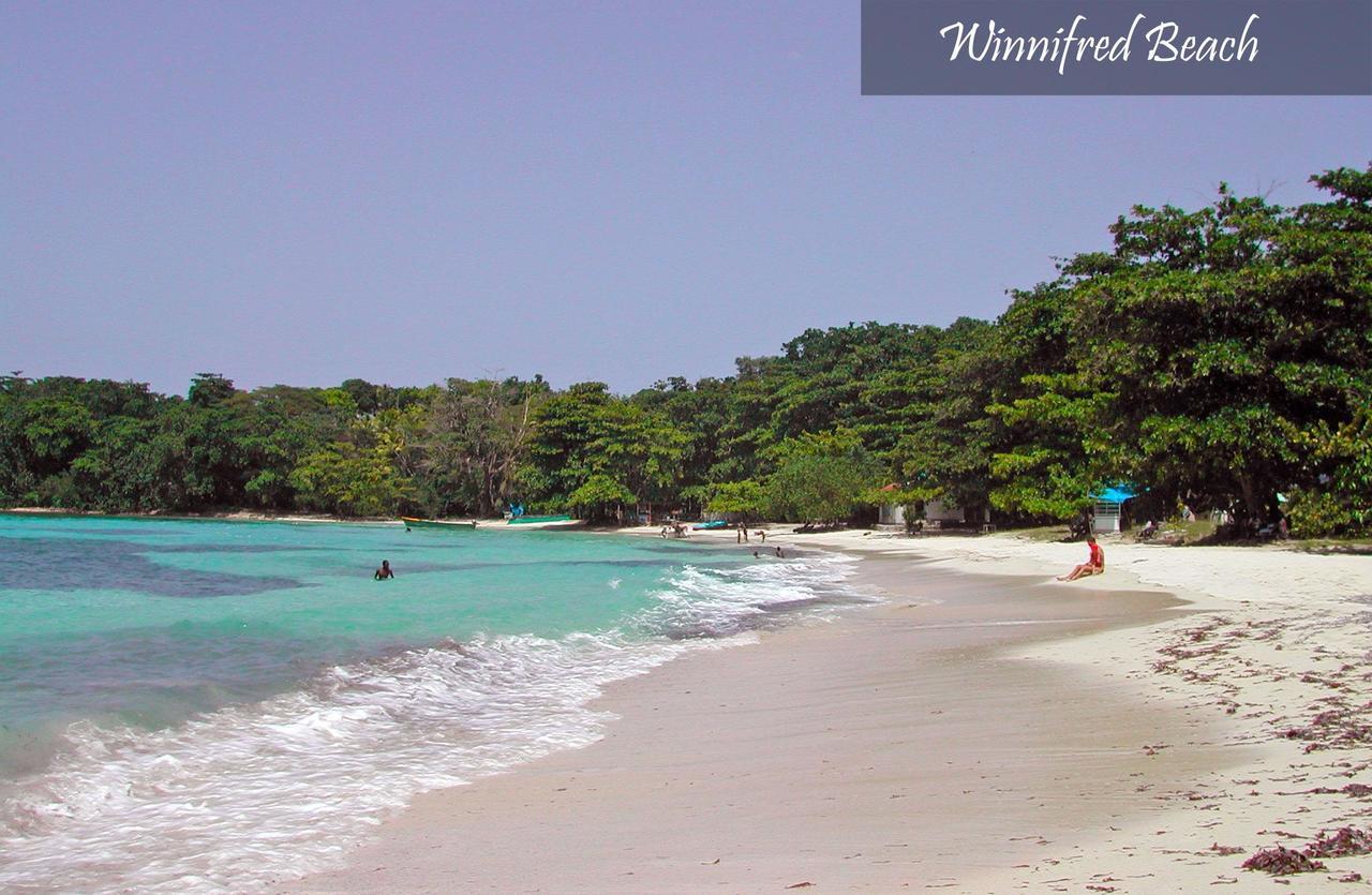 Moon San Villa At The Blue Lagoon Port Antonio Bagian luar foto